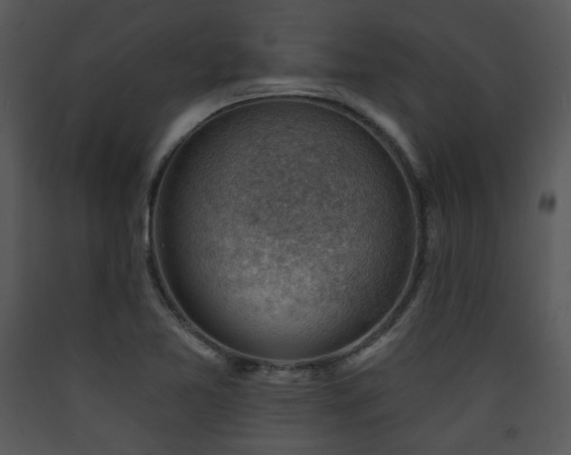 X0000090631365200707171438