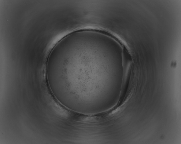 X0000090631367200707171438