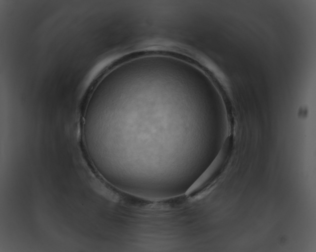 X0000090631368200707171438