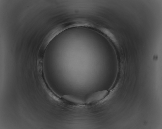 X0000090631369200707171438