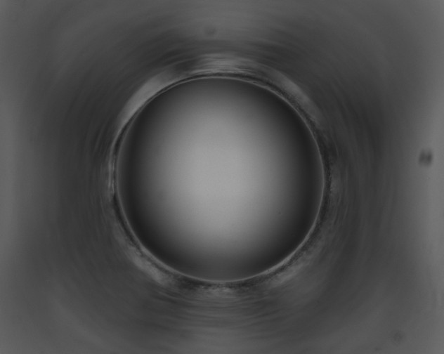 X0000090631370200707171438