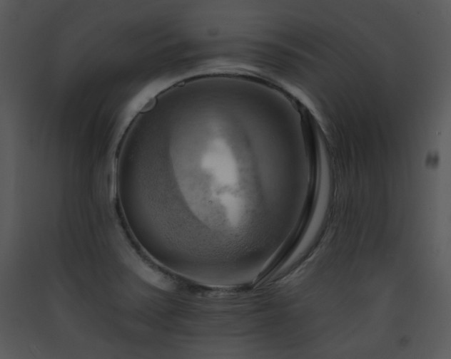 X0000090631371200707171438