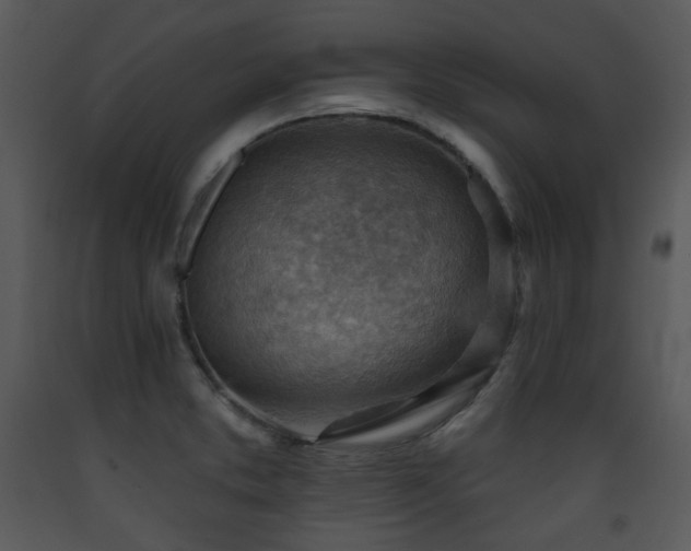 X0000090631373200707171438