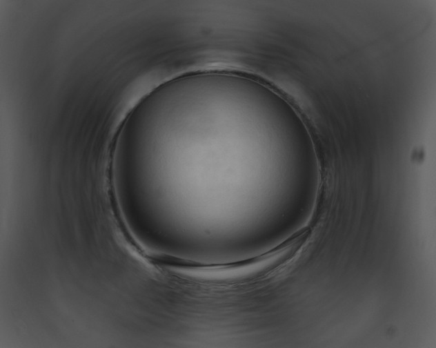 X0000090631374200707171438
