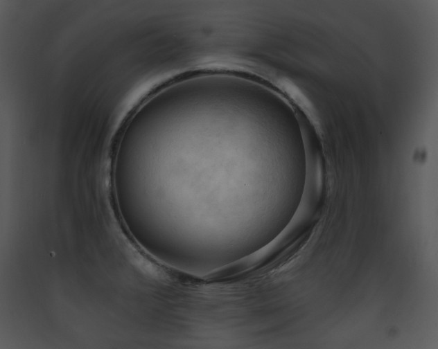 X0000090631376200707171438