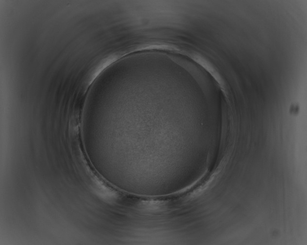X0000090631377200707171438