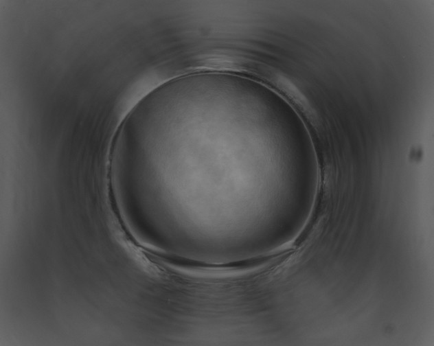 X0000090631378200707171438