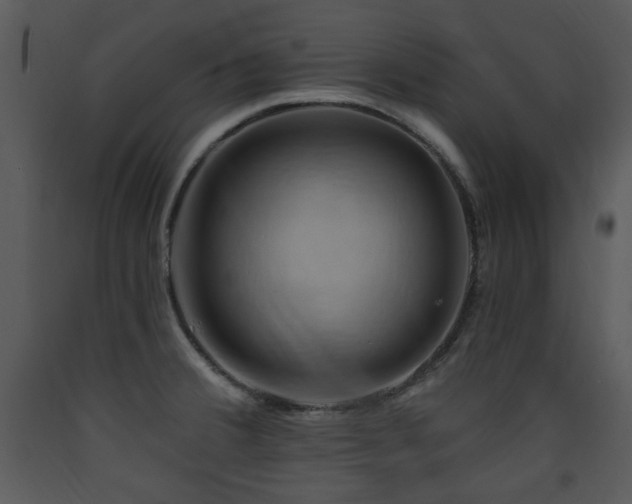 X0000090631380200707171438