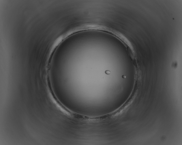 X0000090631381200707171438