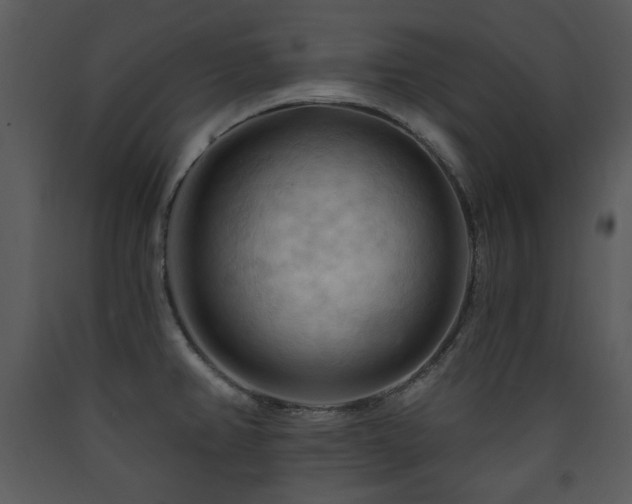 X0000090631382200707171438