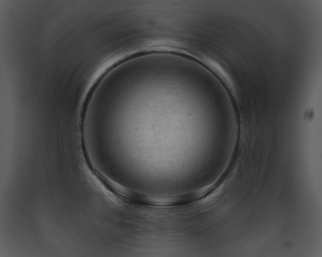 X0000090631384200707171438