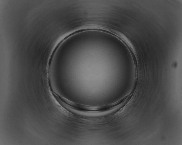 X0000090631388200707171437