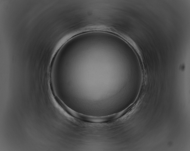 X0000090631389200707171437