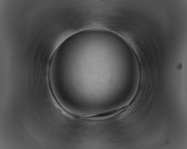 X0000090631390200707171437