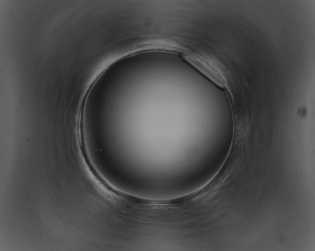 X0000090631391200707171437