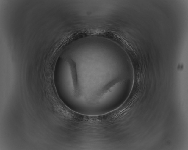 X0000090631393200707171437