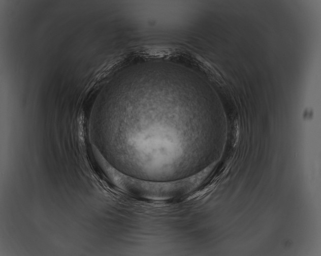 X0000090631394200707171437