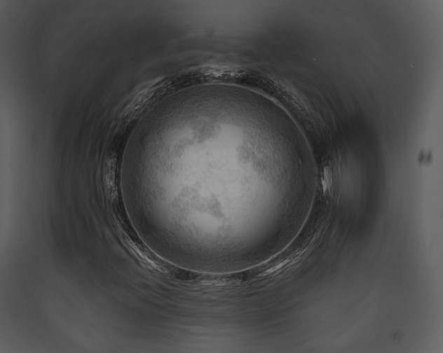 X0000090631396200707171437