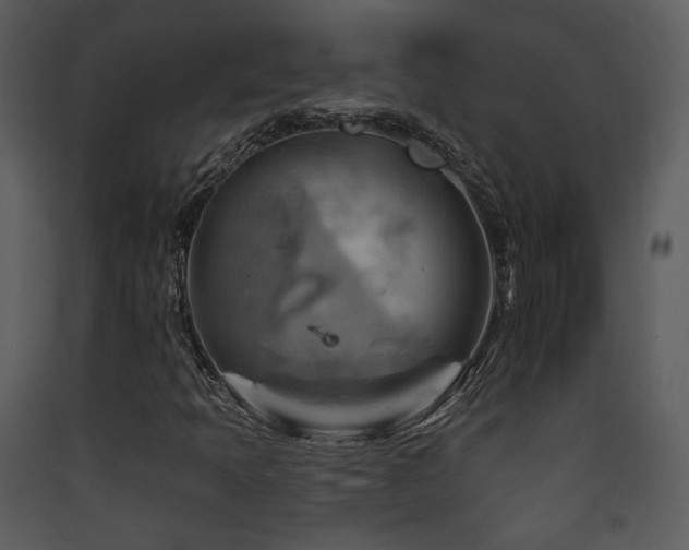 X0000090631397200707171437