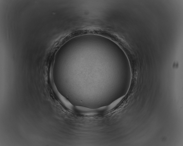 X0000090631398200707171437