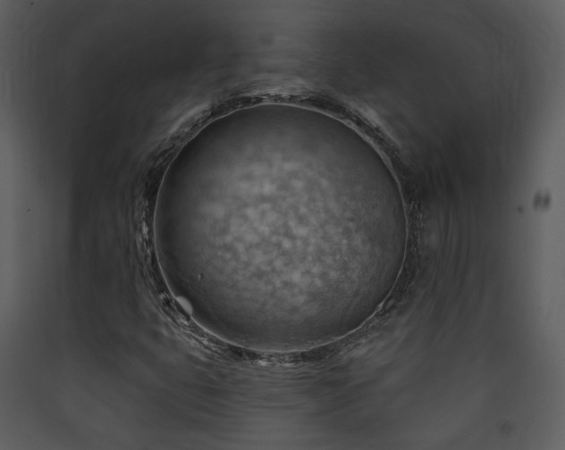 X0000090631399200707171437