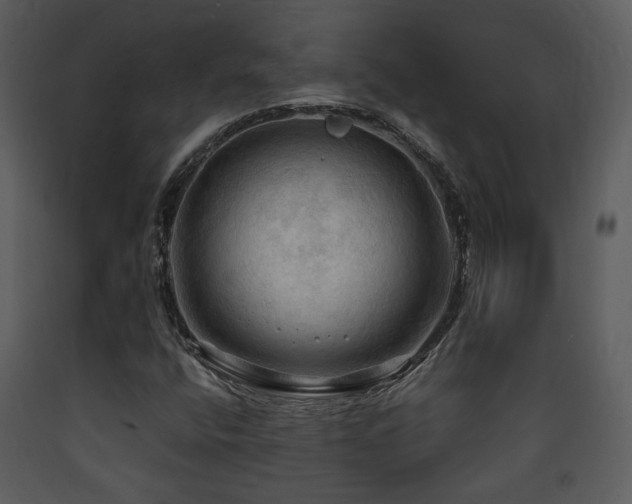 X0000090631400200707171437