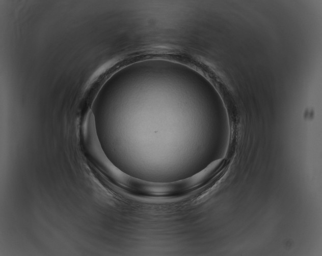 X0000090631402200707171437