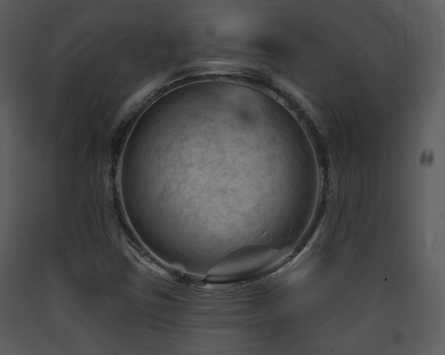 X0000090631403200707171437