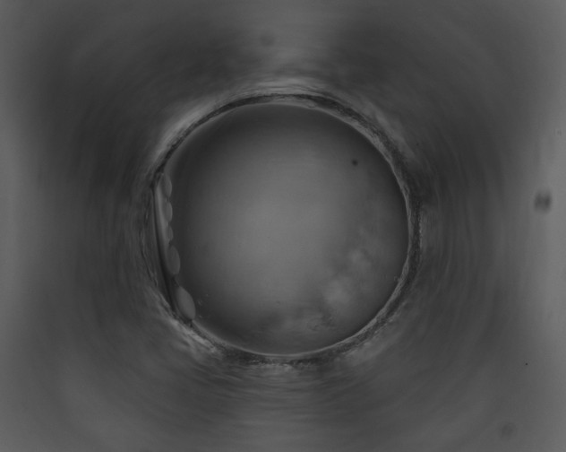 X0000090631405200707171437