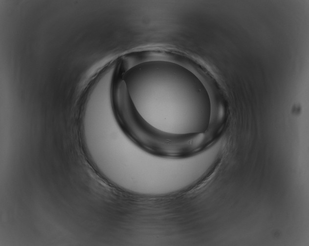 X0000090631406200707171437