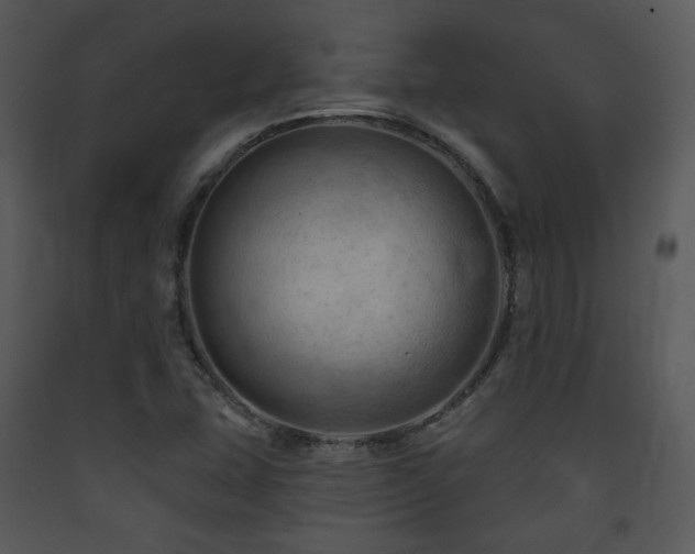 X0000090631407200707171437