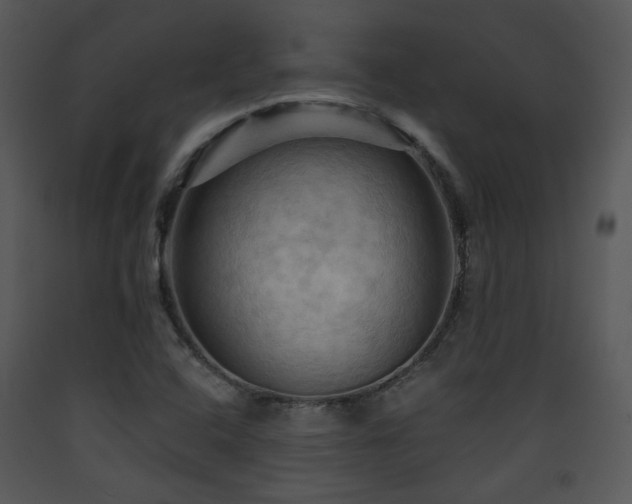 X0000090631408200707171437