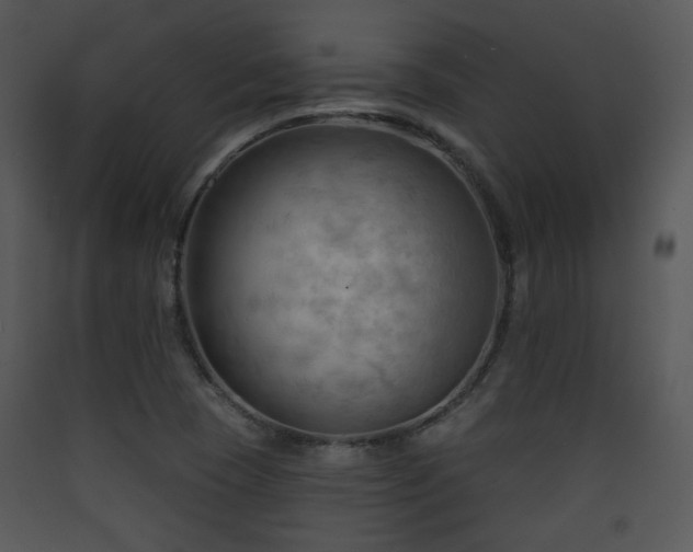 X0000090631409200707171437