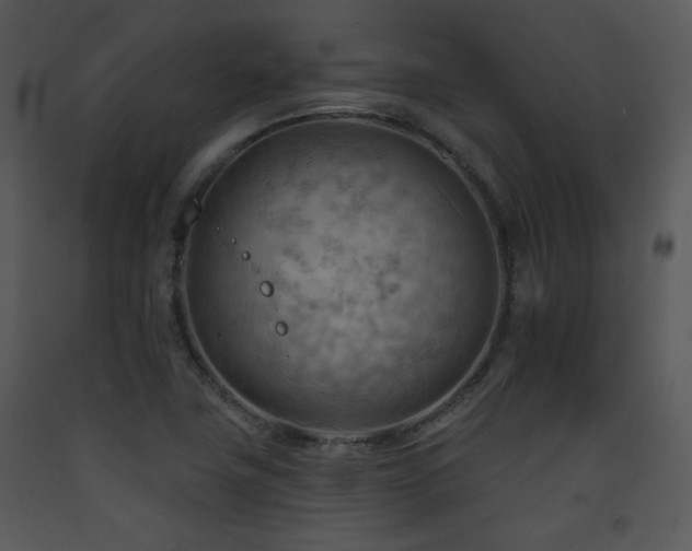 X0000090631411200707171437