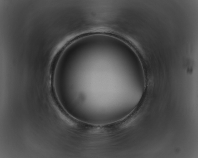 X0000090631414200707171437