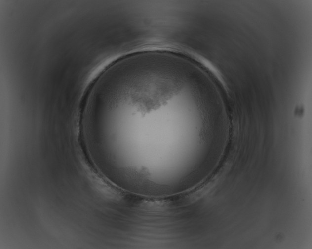 X0000090631415200707171437