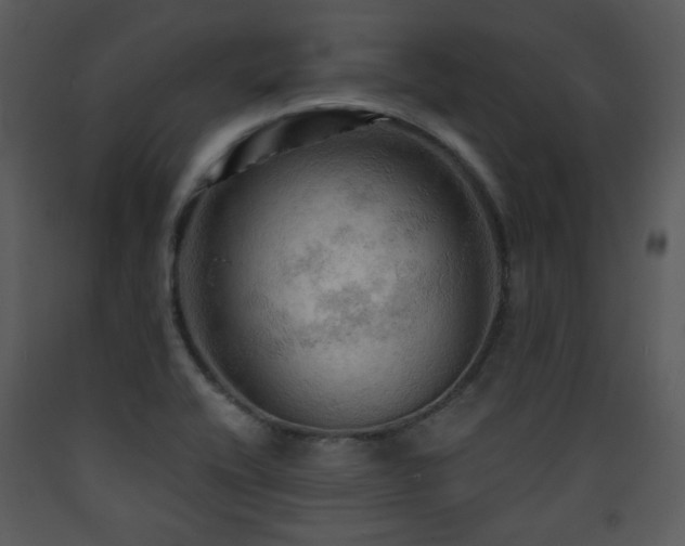X0000090631416200707171437