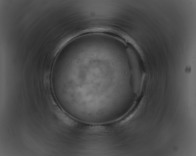 X0000090631417200707171437