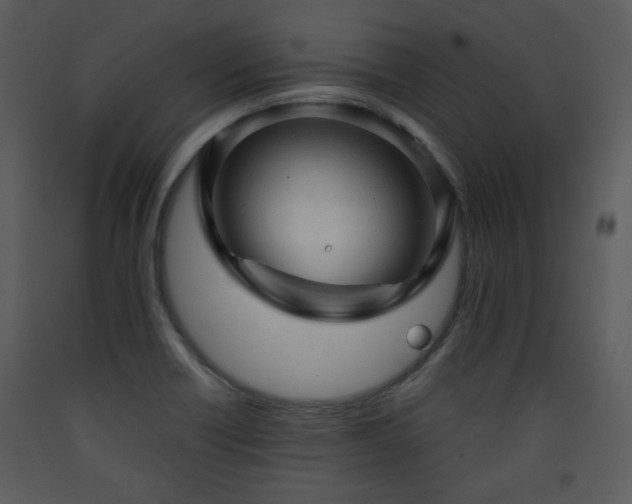 X0000090631418200707171437
