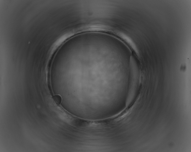 X0000090631419200707171437