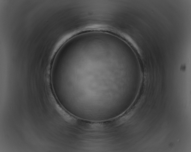 X0000090631421200707171437
