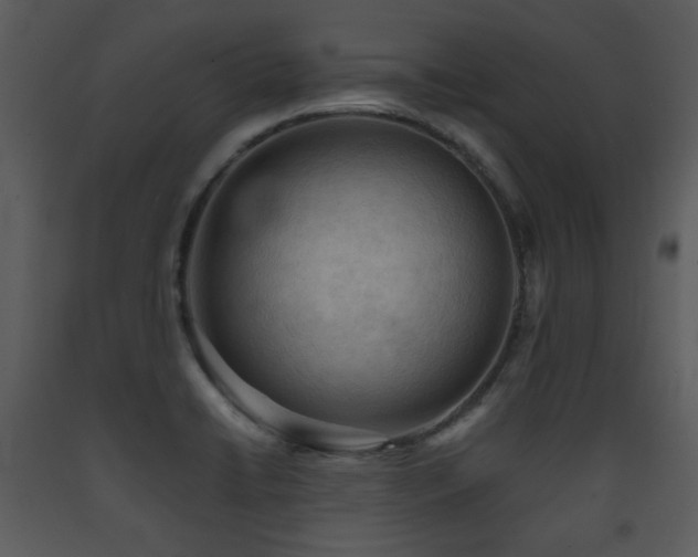 X0000090631422200707171437