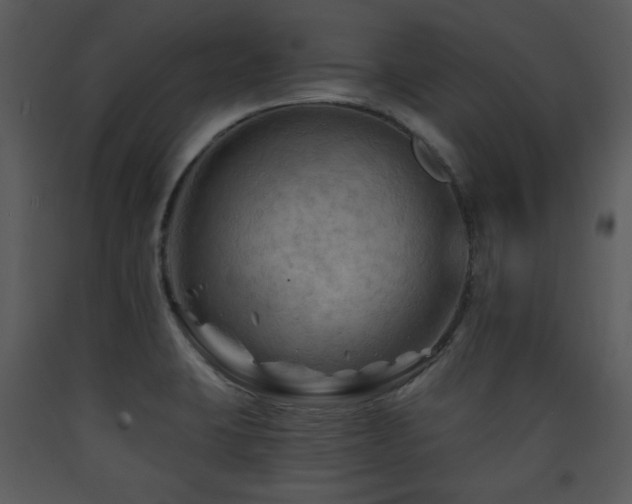 X0000090631423200707171437
