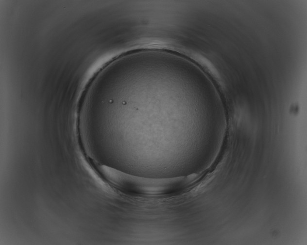 X0000090631424200707171437