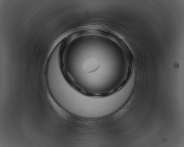 X0000090631426200707171437