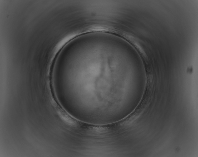X0000090631427200707171437
