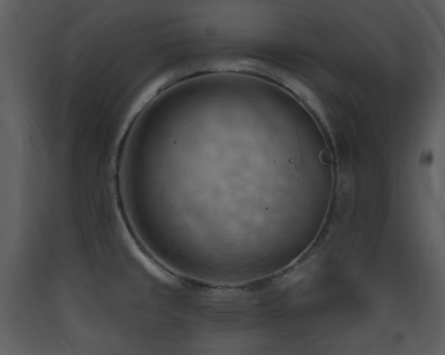 X0000090631429200707171437
