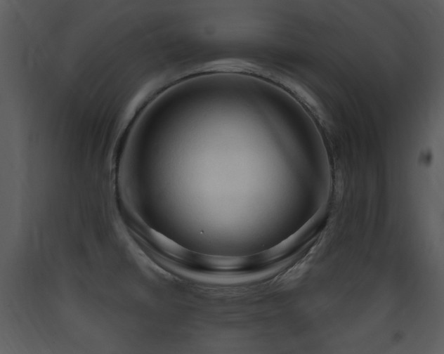 X0000090631430200707171437
