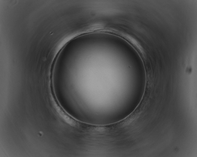 X0000090631431200707171437