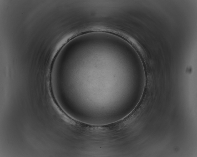 X0000090631432200707171437